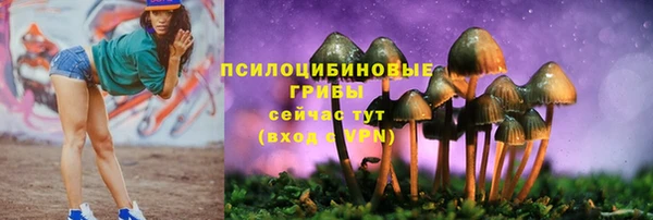 меф Надым