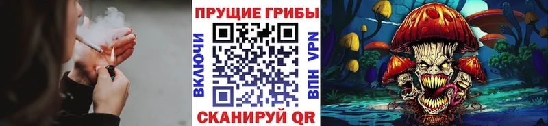 MEGA онион  Оса  Псилоцибиновые грибы прущие грибы 